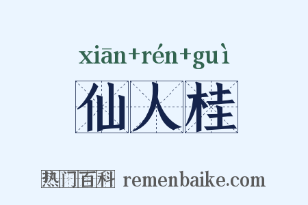 仙人桂是什么意思的图片